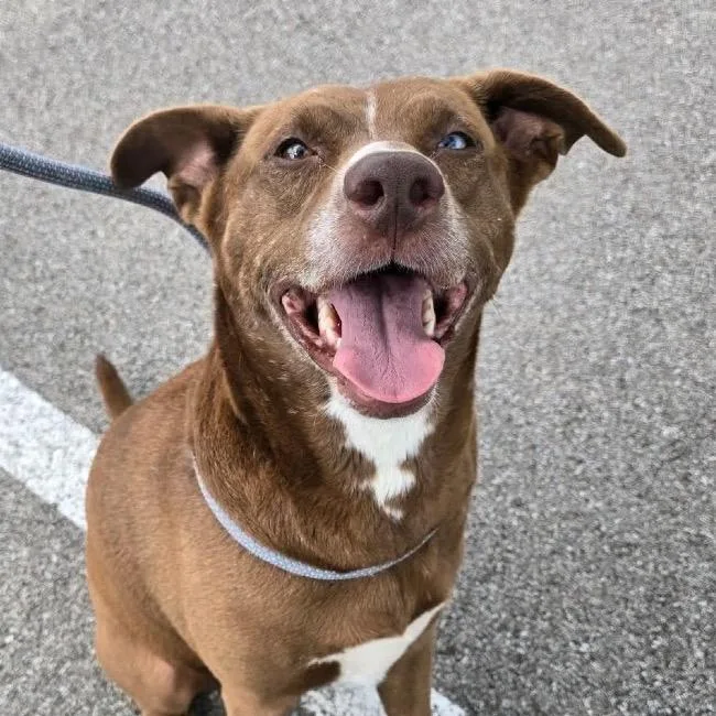 Miss Clara thumbnail 2