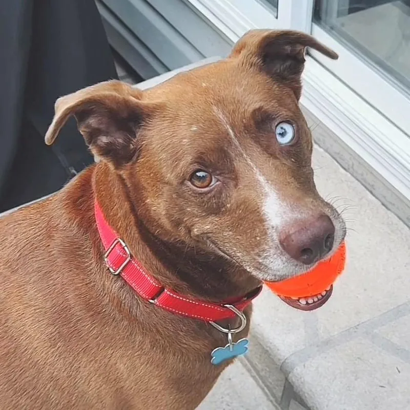 Miss Clara thumbnail 4