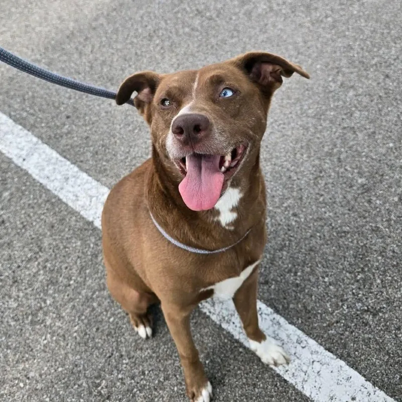 Miss Clara thumbnail 5