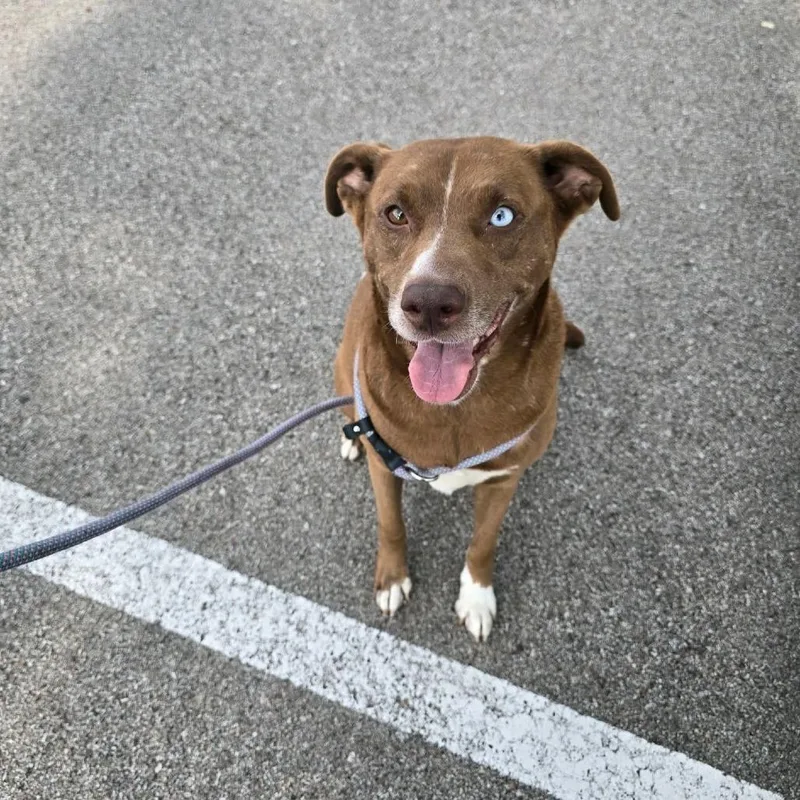 Miss Clara thumbnail 6