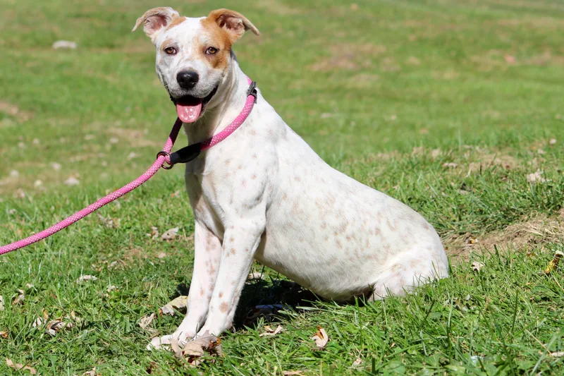 Baby Girl thumbnail 2