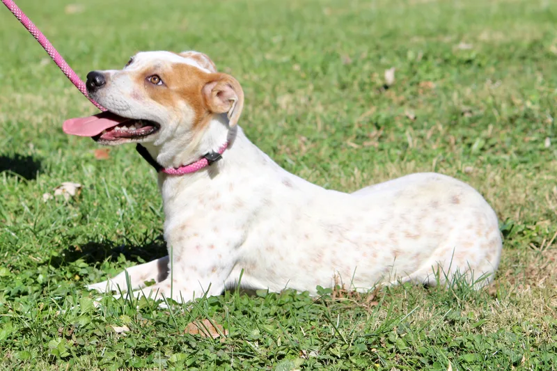 Baby Girl thumbnail 3