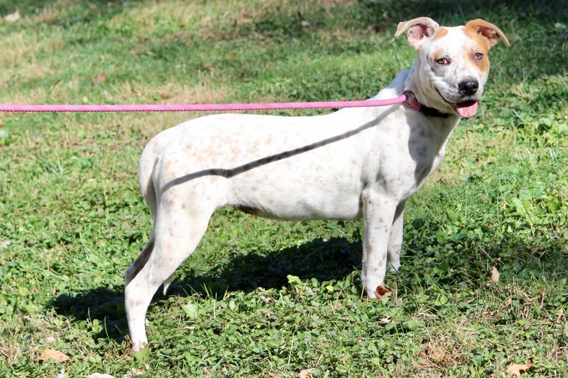 Baby Girl thumbnail 4