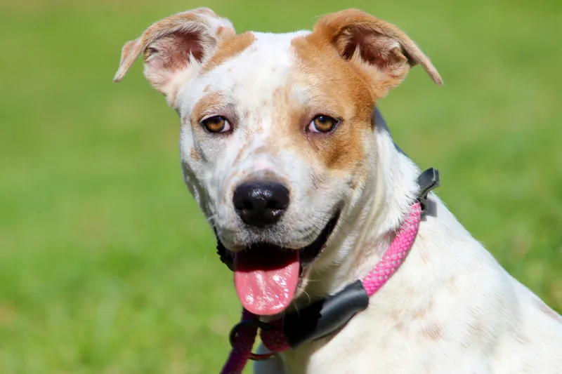 Baby Girl thumbnail 5