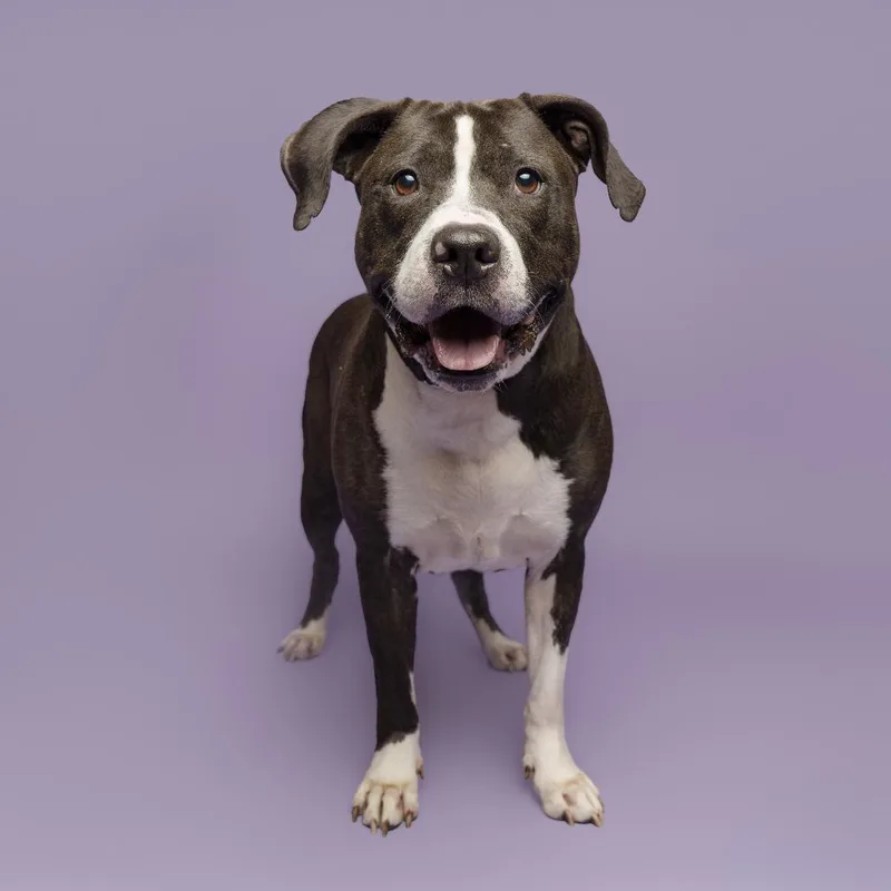 Dr. Zeus