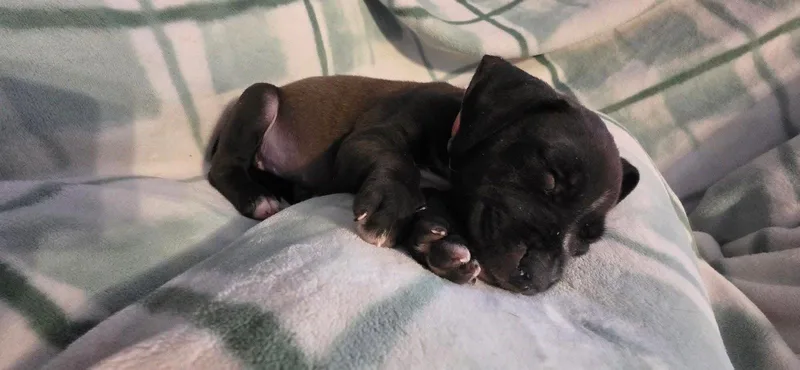Gabby thumbnail 2