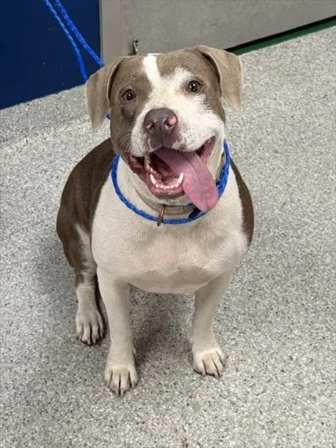 Fiona