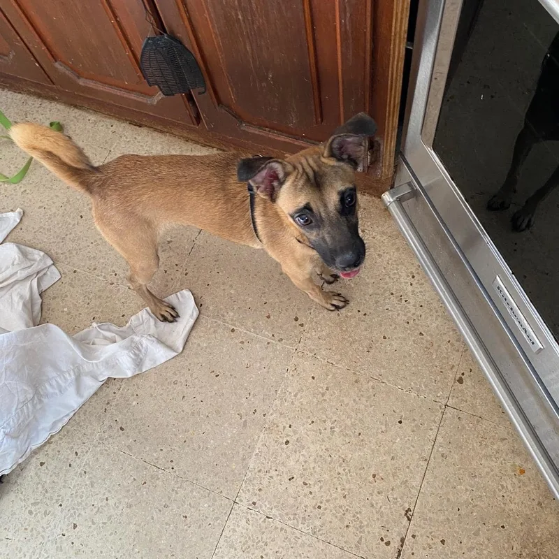 Wichi "one..only. Me." thumbnail 2