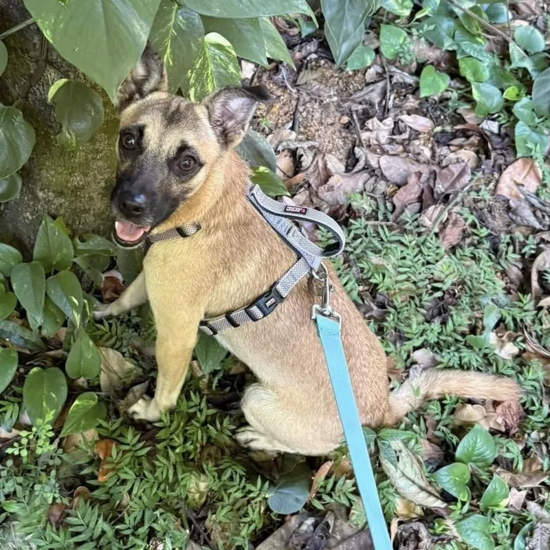 Wichi "one..only. Me." thumbnail 3