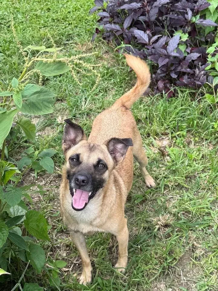 Wichi "one..only. Me."