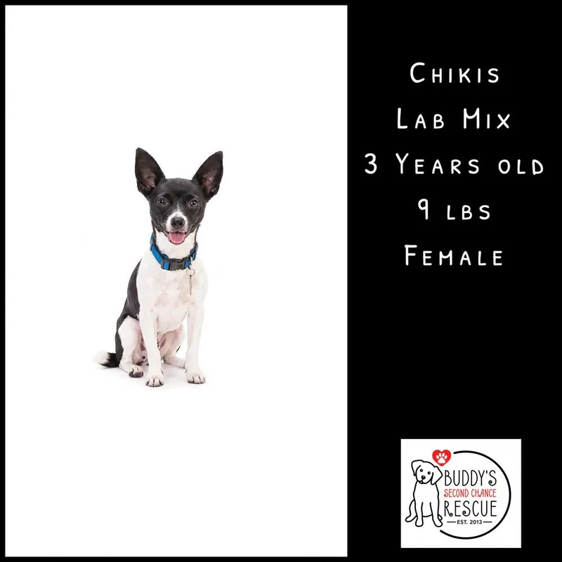 Chikis thumbnail 4