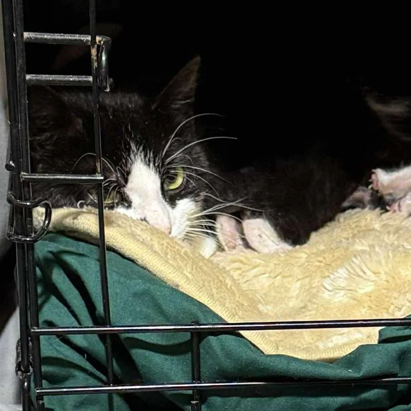 Early Bird thumbnail 3