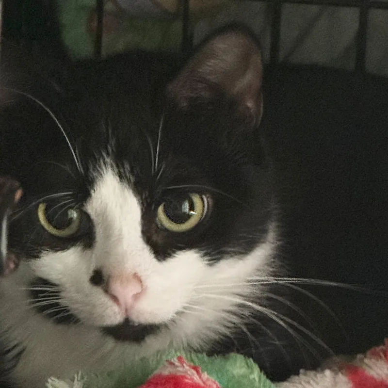 Early Bird thumbnail 4