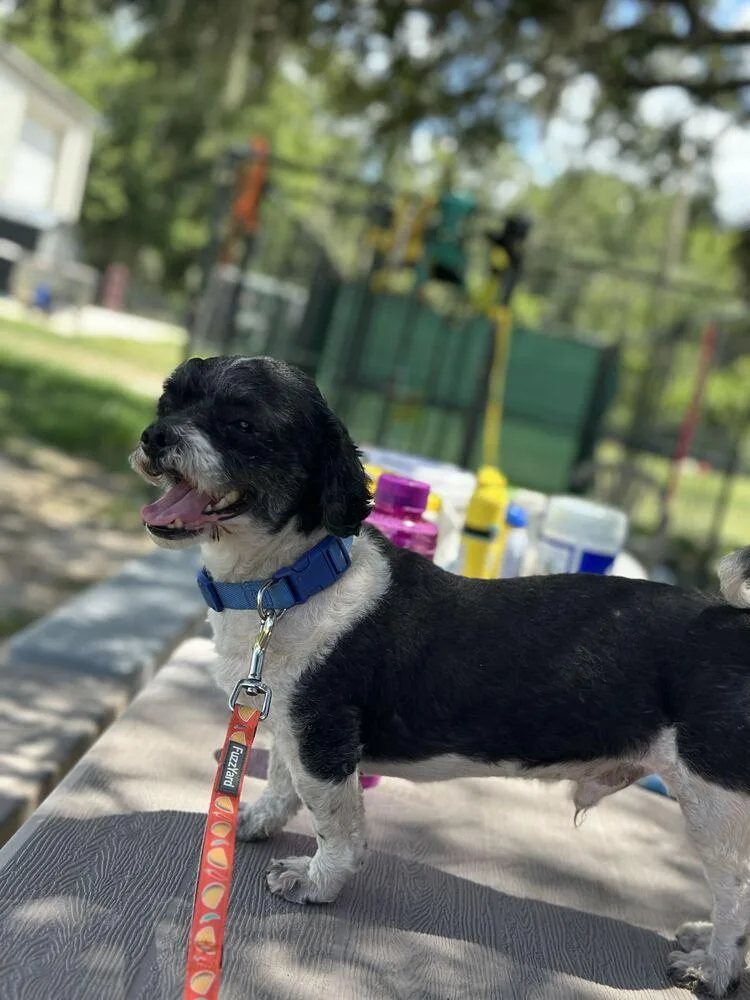 Einstein
