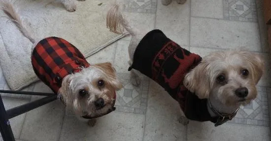 Lil' Bit Aka Fred thumbnail 2