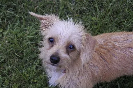 Lil' Bit Aka Fred thumbnail 3