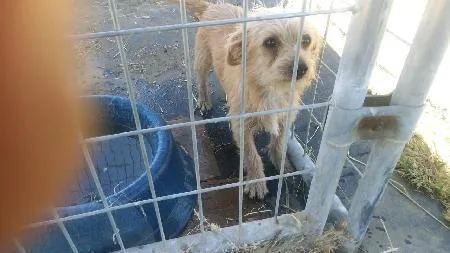 Lil' Bit Aka Fred thumbnail 4