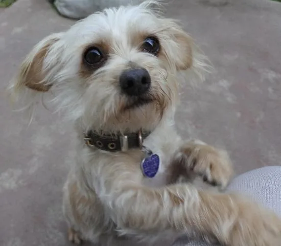 Lil' Bit Aka Fred thumbnail 5