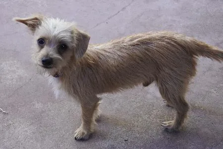 Lil' Bit Aka Fred thumbnail 6