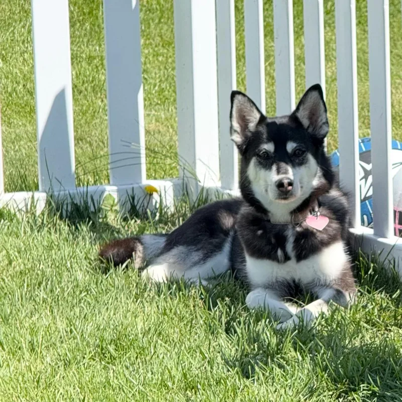 Maggie thumbnail 3