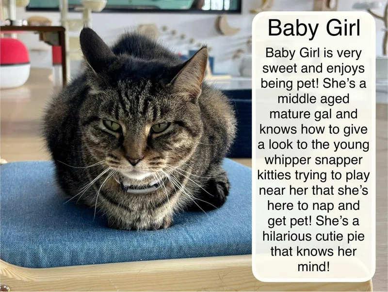 Baby Girl At Luna thumbnail 2