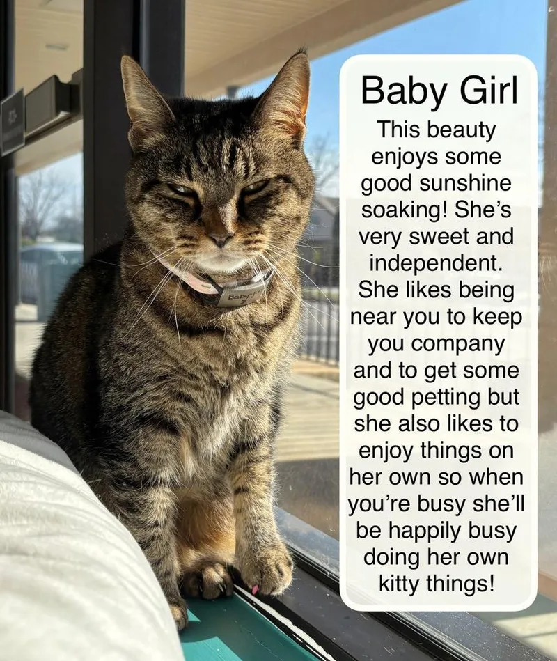 Baby Girl At Luna thumbnail 4