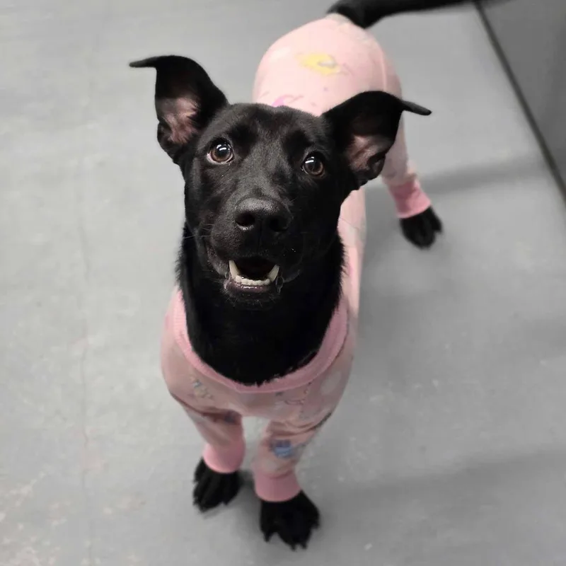 Dora Dee thumbnail 2