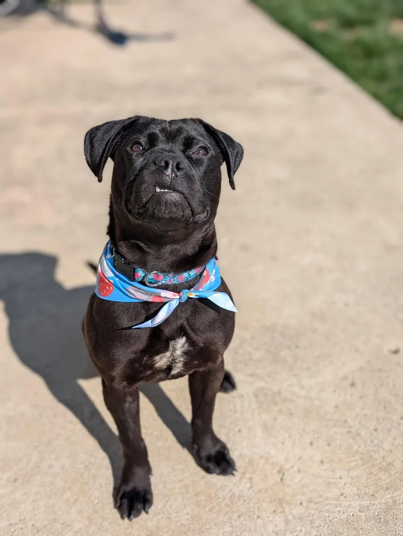 Jellybean thumbnail 2