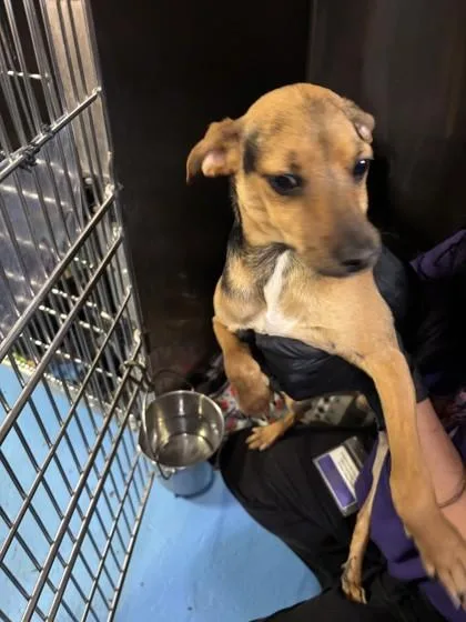 Noob Saibot thumbnail 3