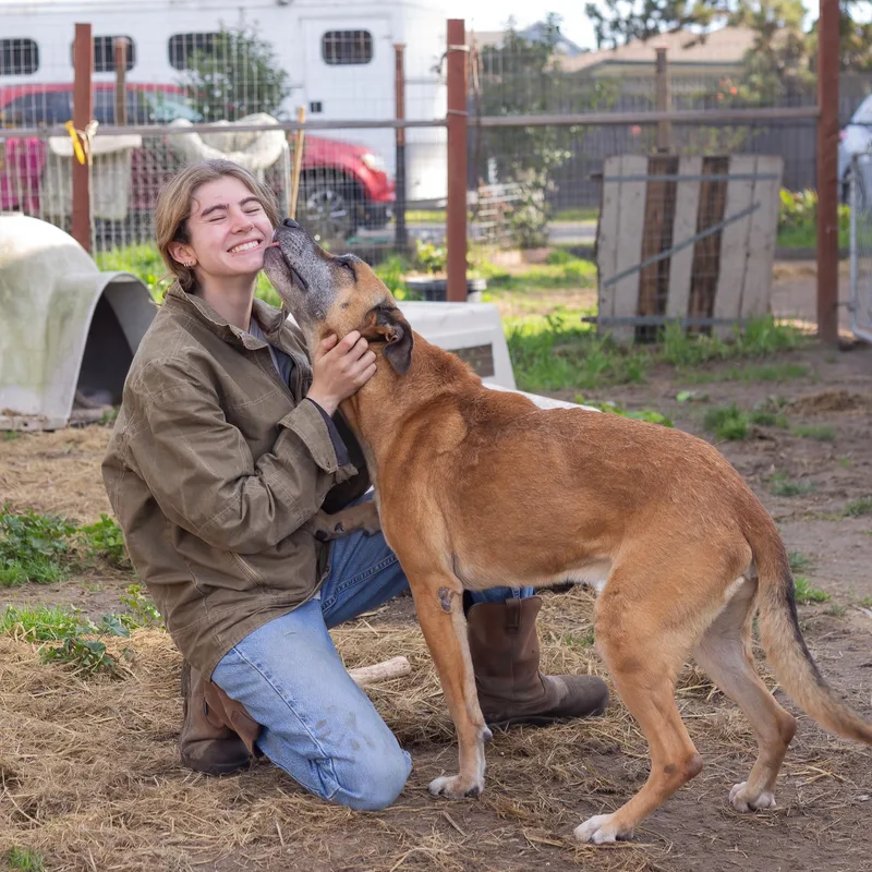 Garrison thumbnail 3