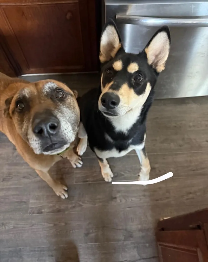 Garrison thumbnail 4