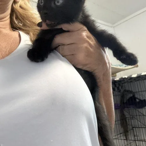 Salem thumbnail 2