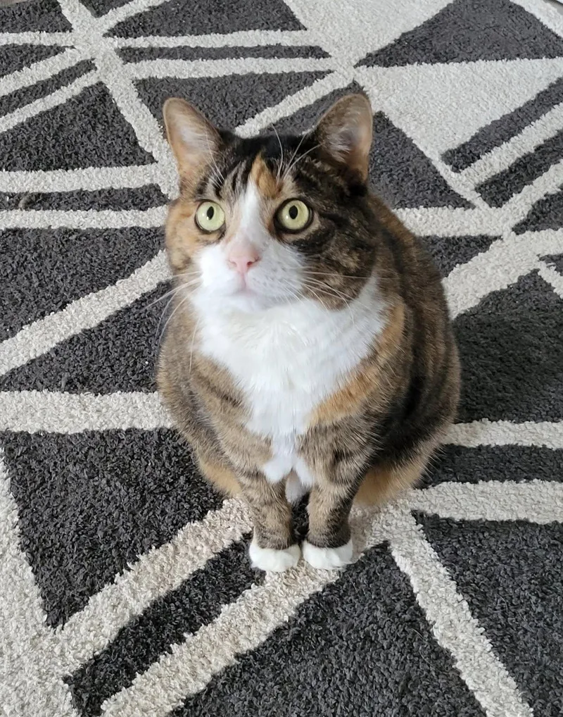 Lucky   Courtesy thumbnail 5