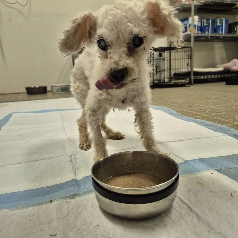 Charles Darwin thumbnail 5