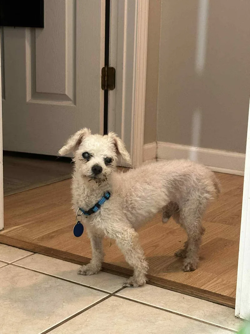 Charles Darwin thumbnail 6