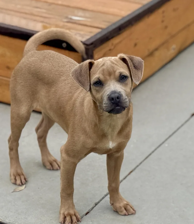 Gouda  My Mom thumbnail 5