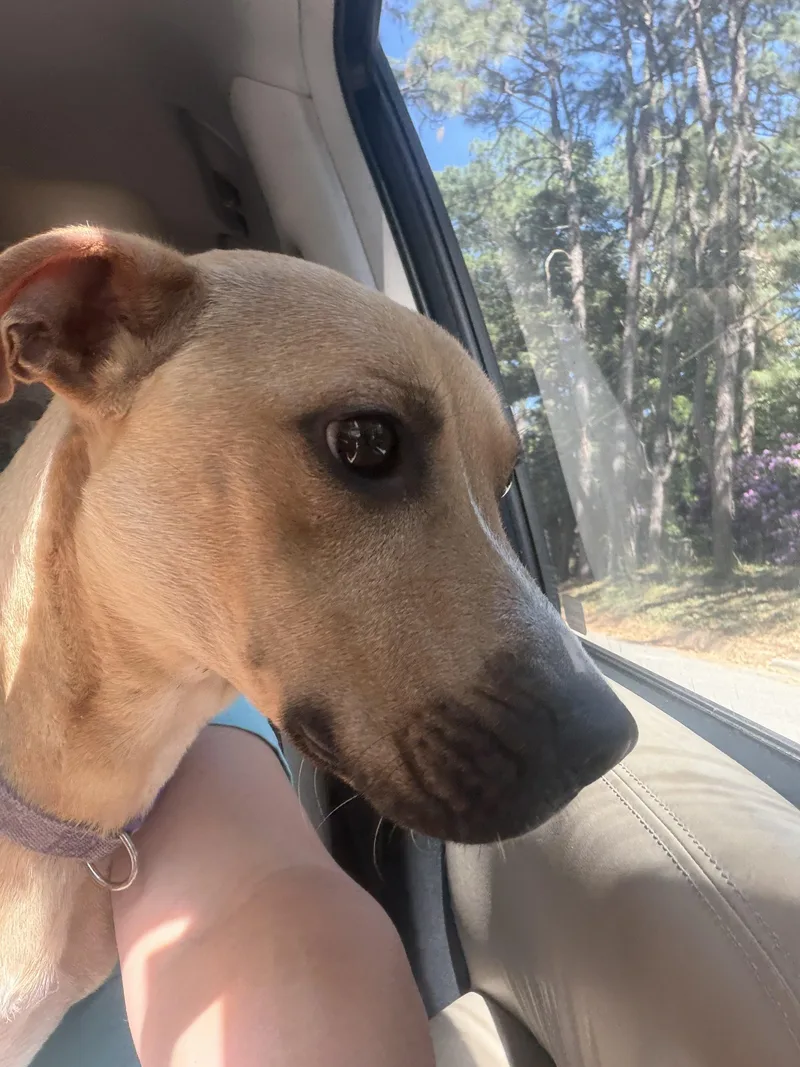 Jenny Mae thumbnail 2