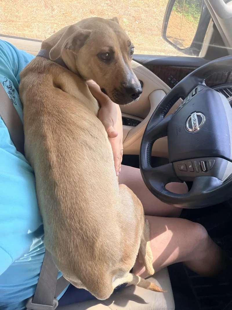 Jenny Mae thumbnail 3