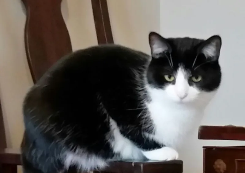 Beauty B thumbnail 2