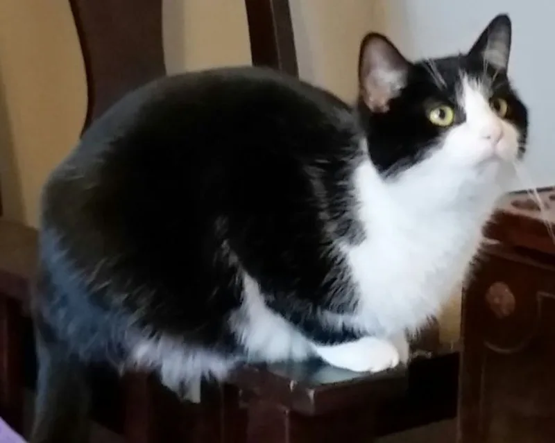 Beauty B thumbnail 4