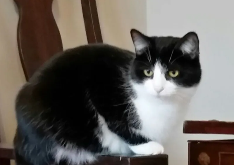 Beauty B thumbnail 5