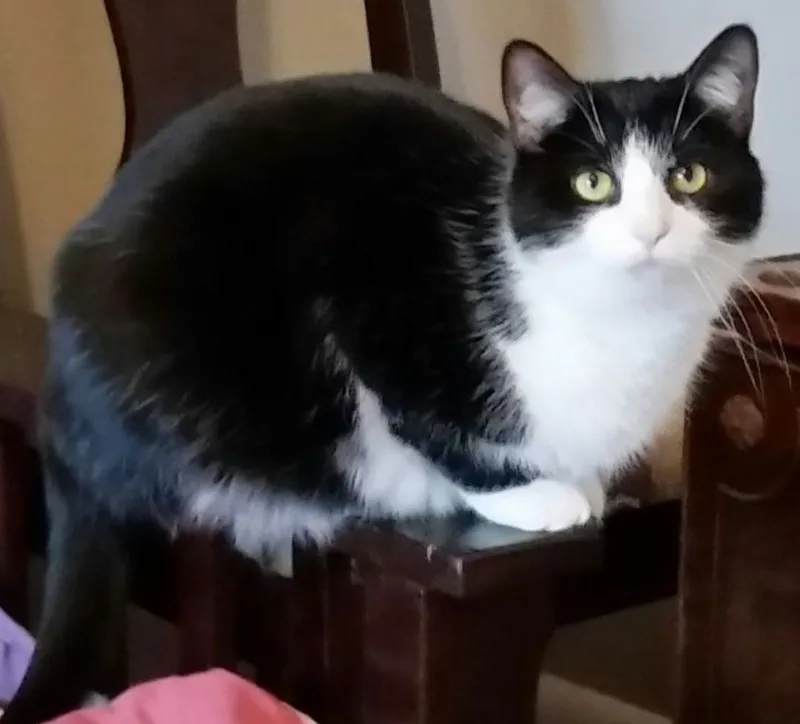 Beauty B thumbnail 6