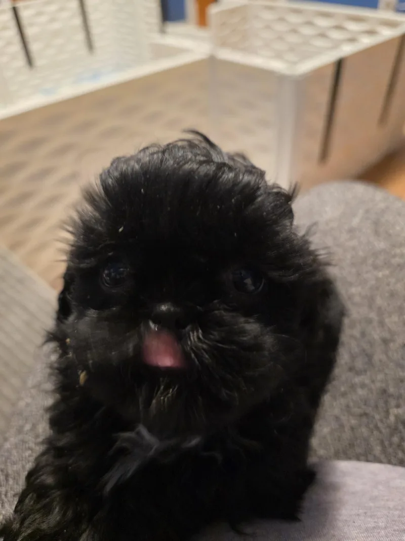 Ellie thumbnail 2
