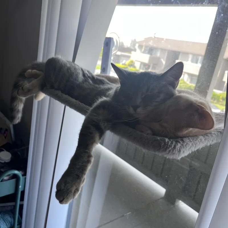 Jojo & Carina thumbnail 2