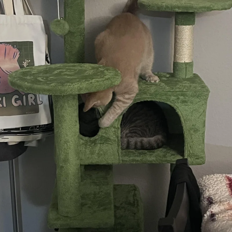 Jojo & Carina thumbnail 3