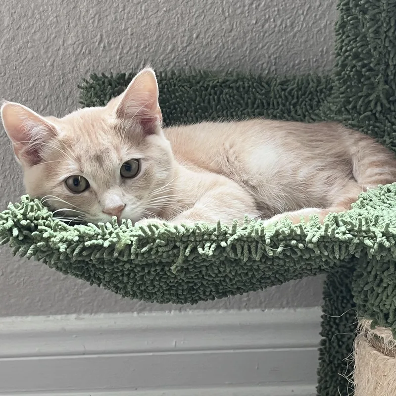 Jojo & Carina thumbnail 4