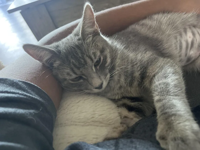 Jojo & Carina thumbnail 5