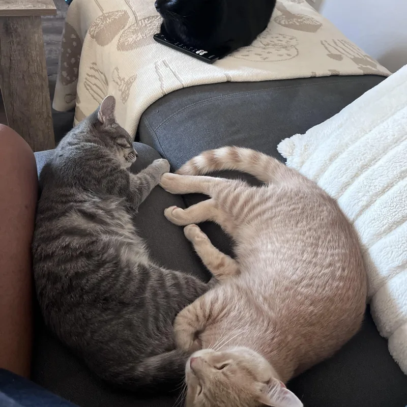 Jojo & Carina thumbnail 6