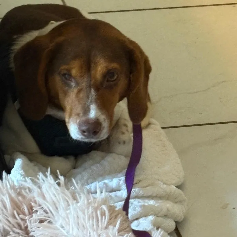 Nora  Fee Sponsored thumbnail 2