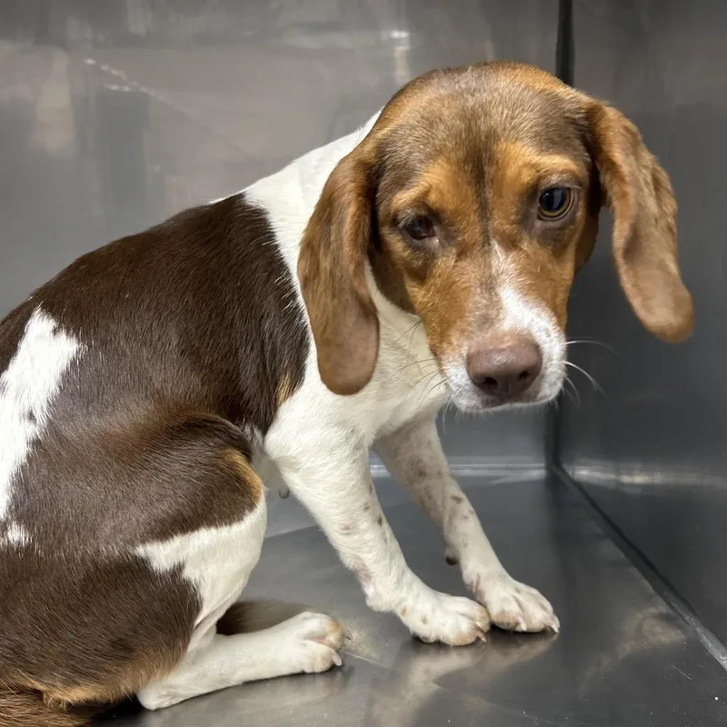 Nora  Fee Sponsored thumbnail 3